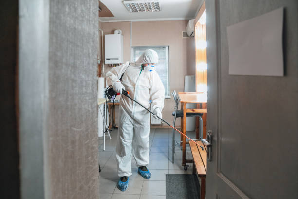 Best Mold Damage Restoration  in Belle Glade, FL
