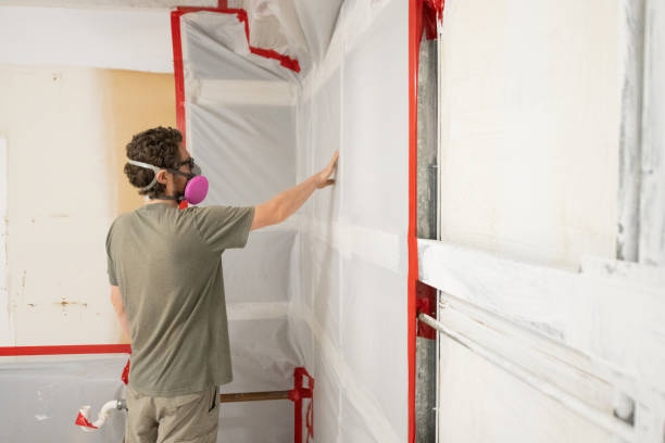 Reliable Belle Glade, FL Mold Removal Solutions