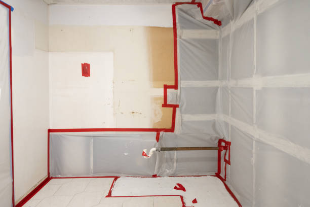 Best Commercial Mold Inspection  in Belle Glade, FL