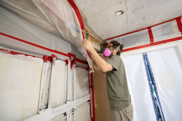 Best Air Quality Testing for Mold Spores  in Belle Glade, FL