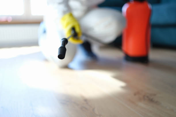 Best Airborne Mold Testing  in Belle Glade, FL