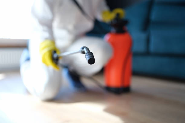 Best Residential Mold Inspection & Testing  in Belle Glade, FL